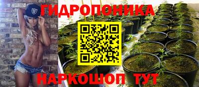 тгк Гусь-Хрустальный